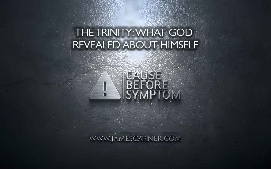 The Trinity What God Revealed About Himself